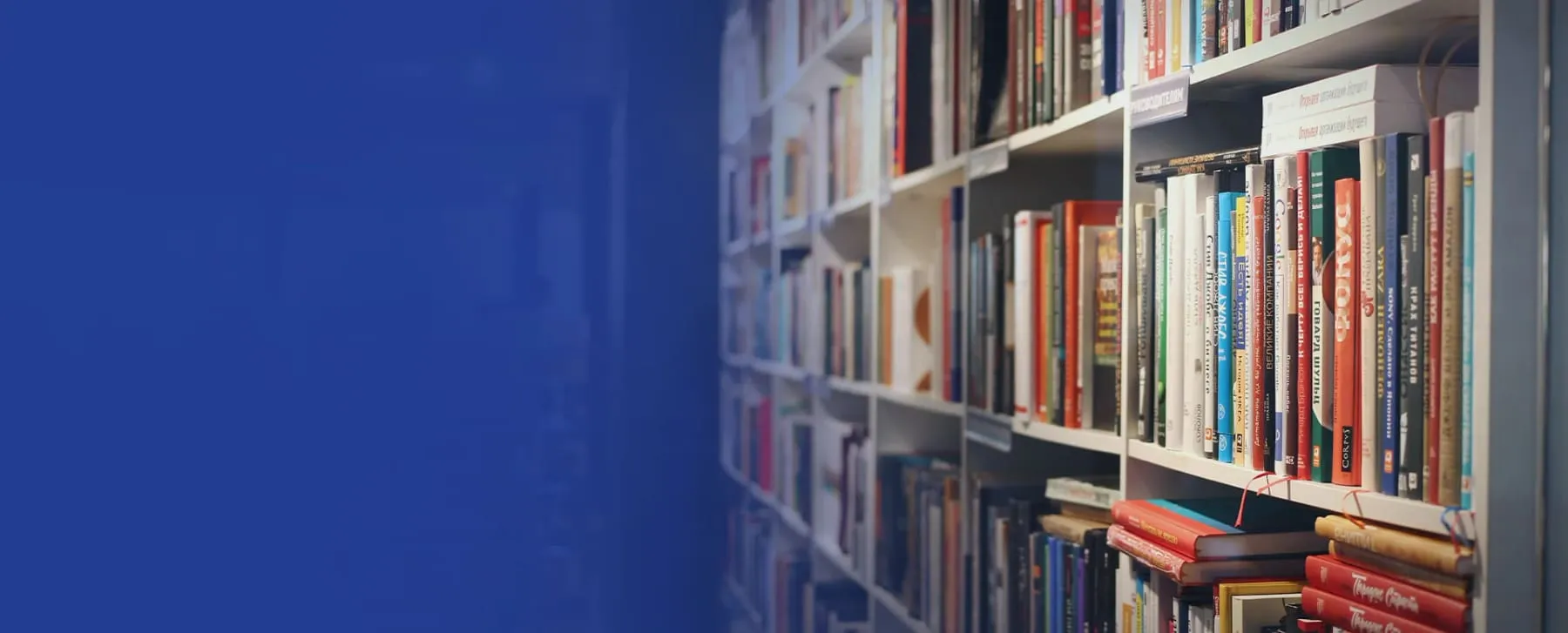 Estante repleta de livros publicados pela Premius Editora